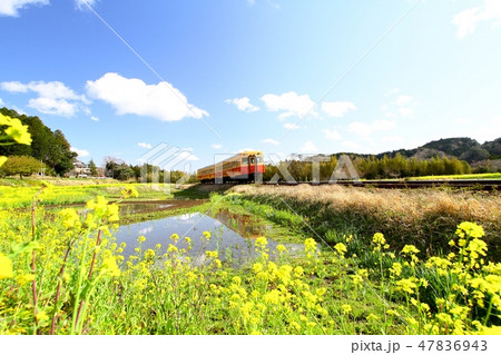 小湊鉄道 小湊鉄道 47836943