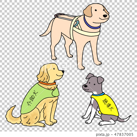 日本ユニバーサルマナーマナー協会監修素材 盲導犬と介助犬と聴導犬のイラスト素材