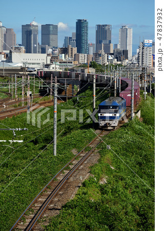 都会のオアシスを行くEF210貨物列車 47837932