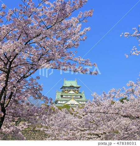 大阪城 東側 大阪城 東側 47838031