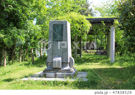 御船城跡　城山公園 47838529