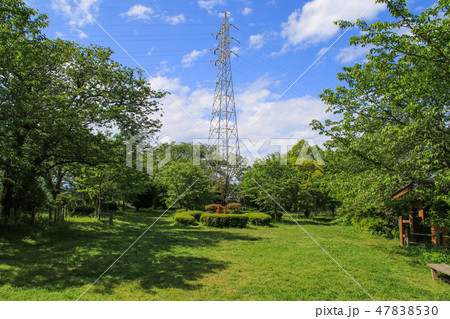 御船城跡　城山公園 47838530