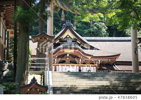 大神神社拝殿【奈良県桜井市】 大神神社拝殿【奈良県桜井市】 47838605