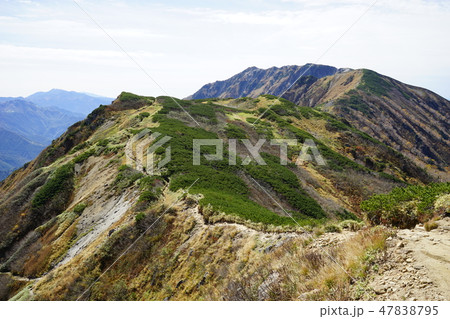 秋の北アルプス小池新道 47838795