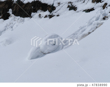 雪まくり 雪まくり 47838990