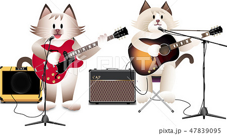 cat_street_live cat_street_live 47839095
