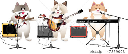 cat_street_live cat_street_live 47839098