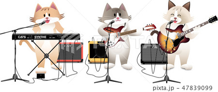 cat_street_live cat_street_live 47839099