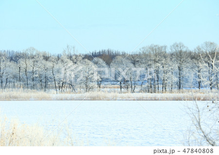 北海道 霧氷風景 北海道 霧氷風景 47840808