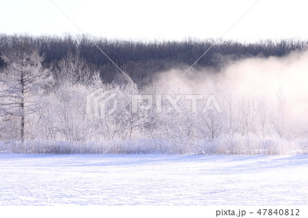 北海道 霧氷の世界 北海道 霧氷の世界 47840812
