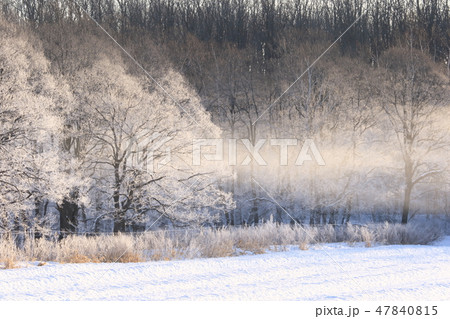 北海道 十勝 霧氷 風景 北海道 十勝 霧氷 風景 47840815