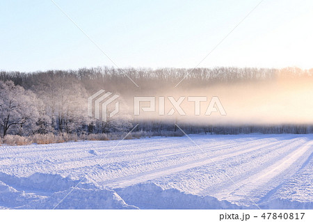 北海道の霧氷 けあらし 北海道の霧氷 けあらし 47840817