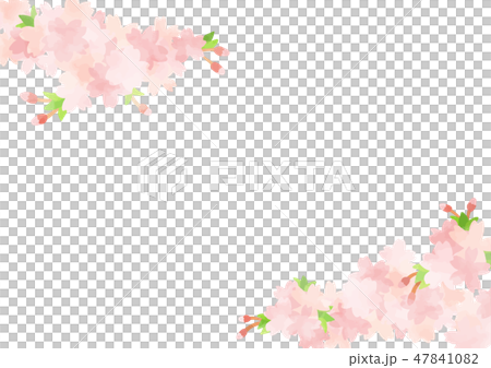 手描き 桜背景3のイラスト素材 47841082 Pixta