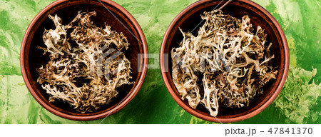 Dried Icelandic medicinal moss Dried Icelandic medicinal moss 47841370
