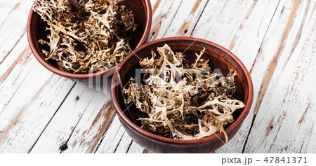 Dried Iceland moss Dried Iceland moss 47841371