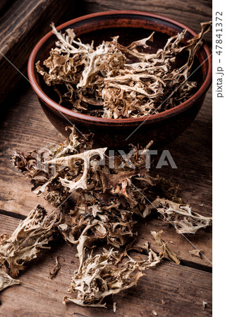 Dried Icelandic medicinal moss 47841372