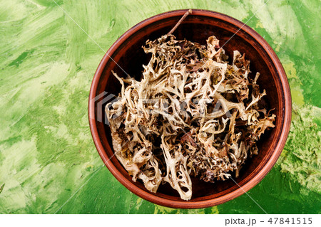 Dried Iceland moss Dried Iceland moss 47841515