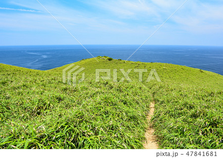 【奄美大島】宮古崎の景色【西郷どん】 【奄美大島】宮古崎の景色【西郷どん】 47841681