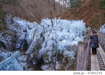 埼玉県 秩父の尾ノ内渓谷氷柱 埼玉県 秩父の尾ノ内渓谷氷柱 47841742