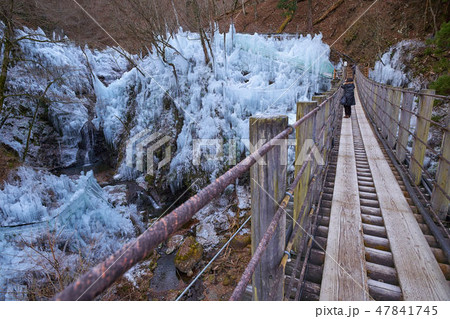 埼玉県 秩父の尾ノ内渓谷氷柱 埼玉県 秩父の尾ノ内渓谷氷柱 47841745