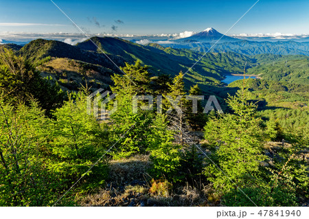 新緑の大菩薩峠稜線から見る残雪の富士山 新緑の大菩薩峠稜線から見る残雪の富士山 47841940