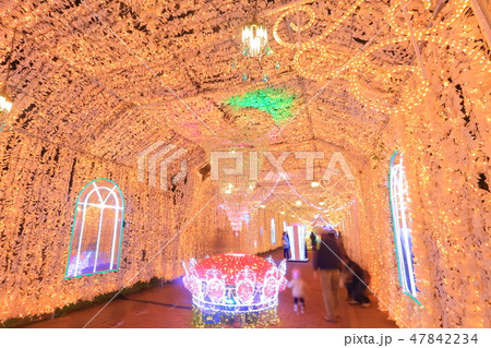 御殿場高原時之栖 光のトンネル 御殿場高原時之栖 光のトンネル 47842234