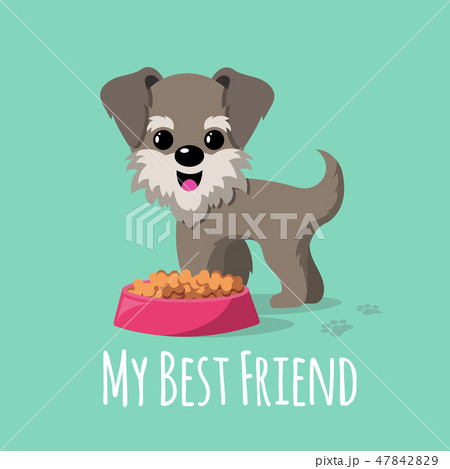 Cartoon dogs vector background Cartoon dogs vector background 47842829