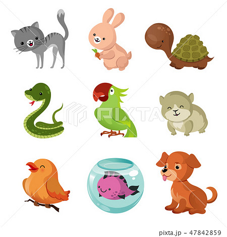 Pets domestic animals vector flat icons Pets domestic animals vector flat icons 47842859