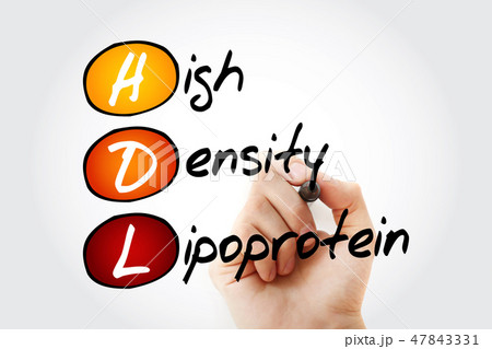 HDL - High-density lipoprotein, acronym HDL - High-density lipoprotein, acronym 47843331