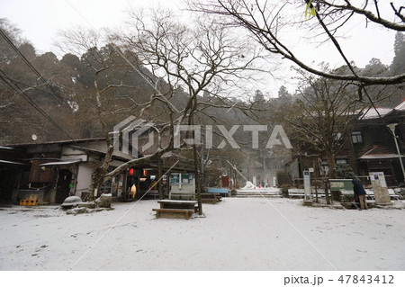 金剛山山頂 47843412