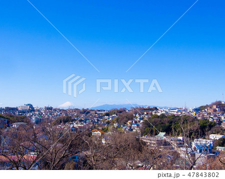 弘明寺公園から望む横浜市街 弘明寺公園から望む横浜市街 47843802
