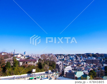 弘明寺公園から望む横浜市街 47843805