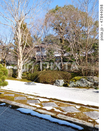 京都　天授庵　北庭 47844098