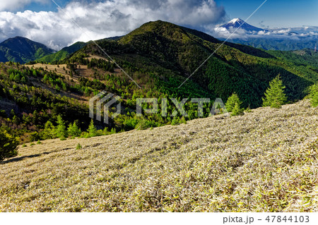 大菩薩連嶺・石丸峠から小金沢山と富士山 大菩薩連嶺・石丸峠から小金沢山と富士山 47844103