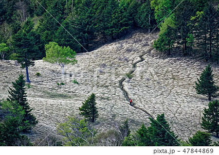 大菩薩連嶺・狼平付近を行く登山者 大菩薩連嶺・狼平付近を行く登山者 47844869