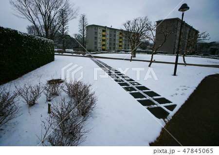 習志野台 47845065