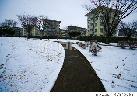 習志野台 47845068