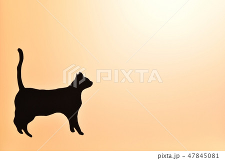 猫の背景素材　クラフト　シルエット 47845081