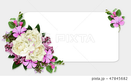 Peony and wild flowers composition on white card 47845682