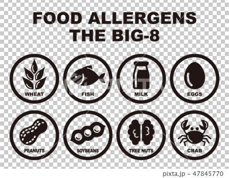 Food allergy inducing substance 8 item Illustration 47845770