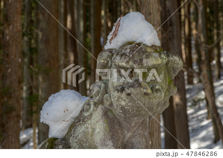 戸隠神社123 戸隠神社123 47846286