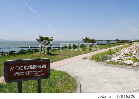岡山 岡山 47846306