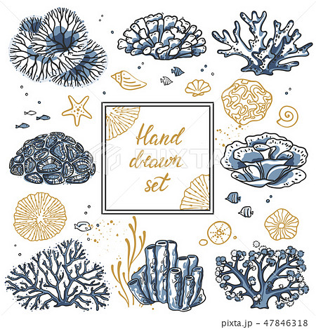 Vector flyer with corals around the text and wavy lines for design. Deep sea background. 47846318