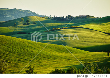 Tuscany hills 47847781