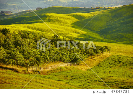 Tuscany hills Tuscany hills 47847782