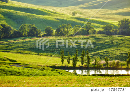 Tuscany hills Tuscany hills 47847784