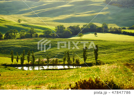 Tuscany hills 47847786