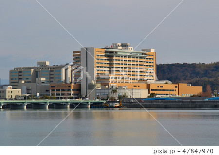 片男波公園からドクターヘリのヘリポートがある拠点大学病院を望む 片男波公園からドクターヘリのヘリポートがある拠点大学病院を望む 47847970