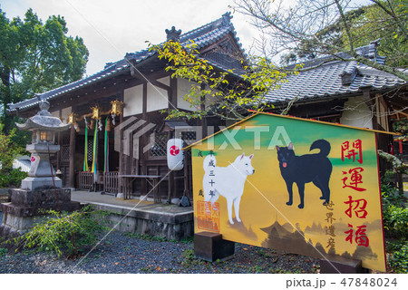 九度山　丹生官省符神社 47848024