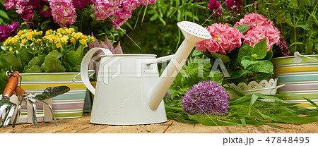 Gardening tools and planting flower Gardening tools and planting flower 47848495